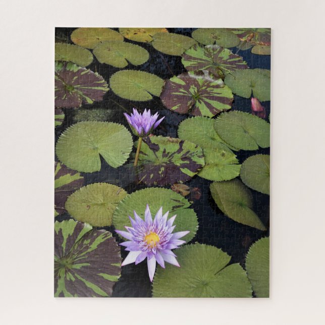 Puzzle Lirios de agua (Vertical)