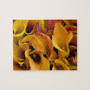 Puzzle Lirios de calla coloridos brillantes en el