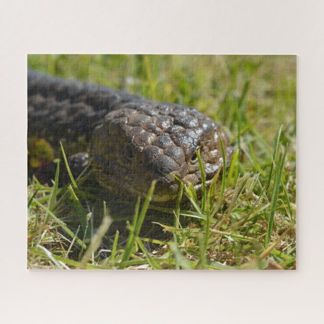 Puzzle Lizard de Lengua Azul de Codorniz Australiana, Jig (Horizontal)