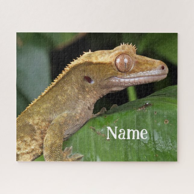Puzzle Lizard Mascota Gecko Crested (Horizontal)