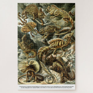 Puzzle Lizarras de reptil por Ernst Haeckel