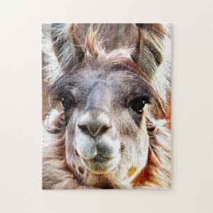 Puzzle Llama