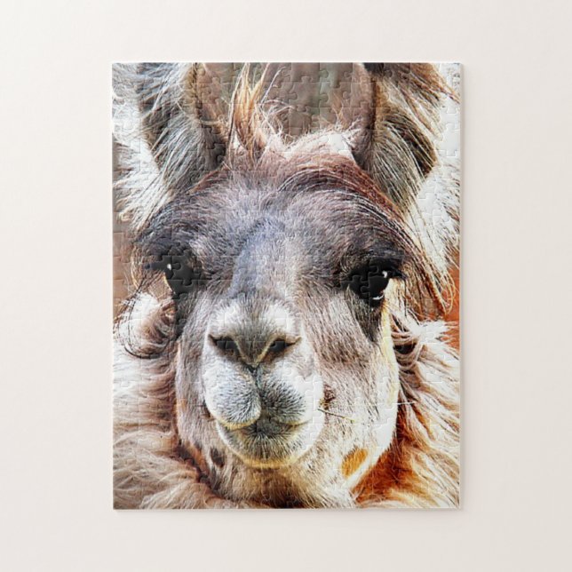 Puzzle Llama (Vertical)