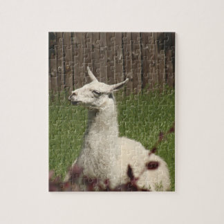 Puzzle Llama blanca