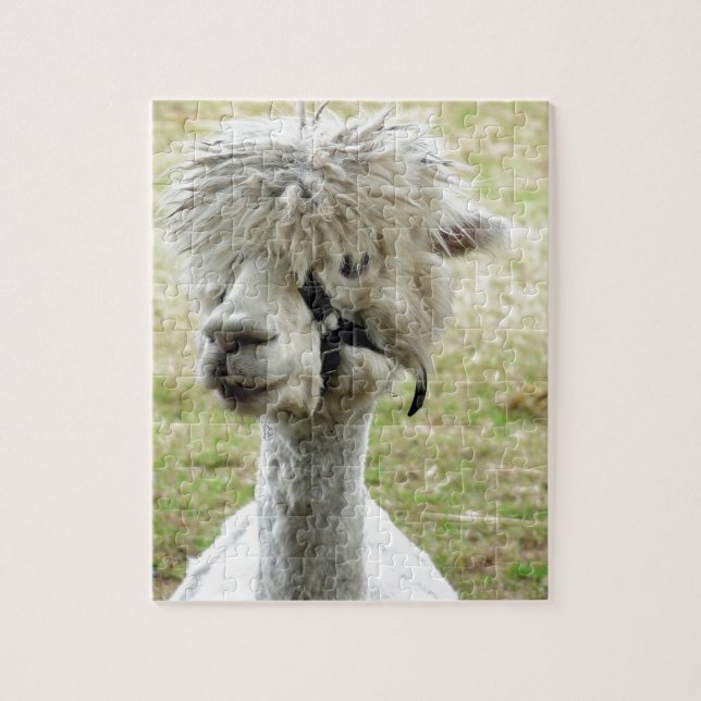 Puzzle Llama blanca hermosa (Vertical)