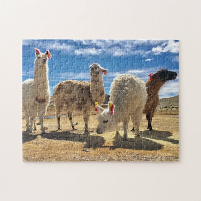 Puzzle Llama Crew (Horizontal)