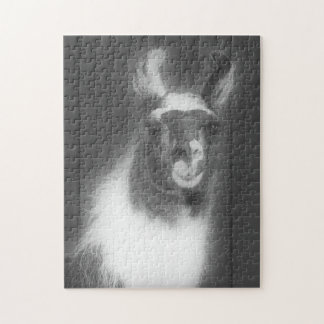 Puzzle Llama En Animal Blanco Y Negro