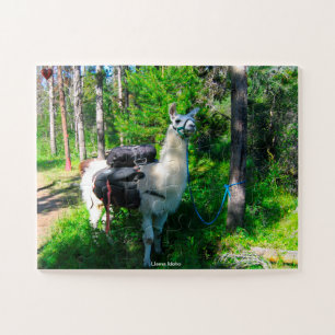 Puzzle Llama Idaho