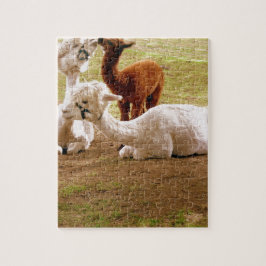 Puzzle Llamas con el bebé Cria
