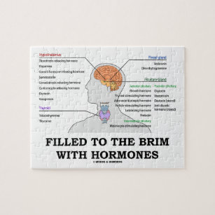 Puzzle Llenado al borde de humor médico de las hormonas