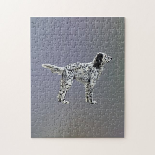 Puzzle LLewellin Setter (Vertical)