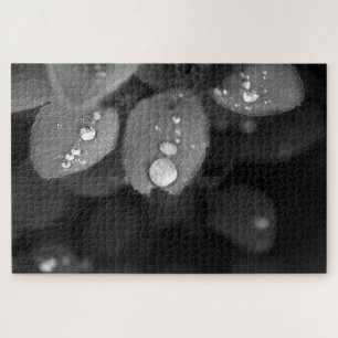 Puzzle Lluvia en la hoja