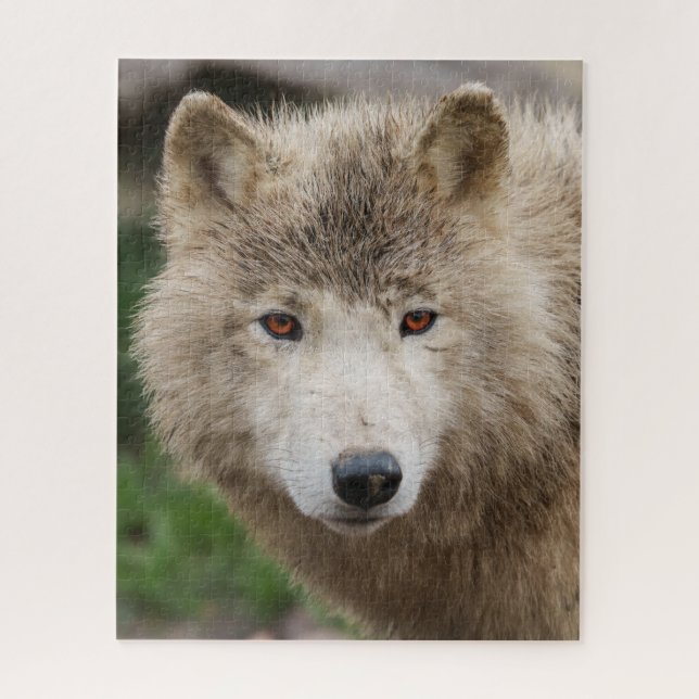 Puzzle Lobo blanco fangoso (Vertical)