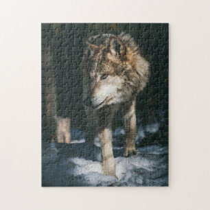 Puzzle Lobo en el animal salvaje