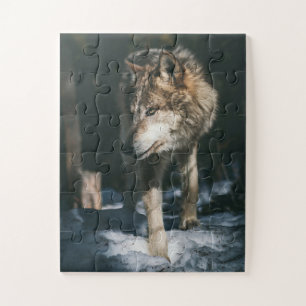Puzzle Lobo en el animal salvaje