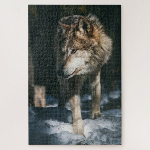 Puzzle Lobo en el animal salvaje