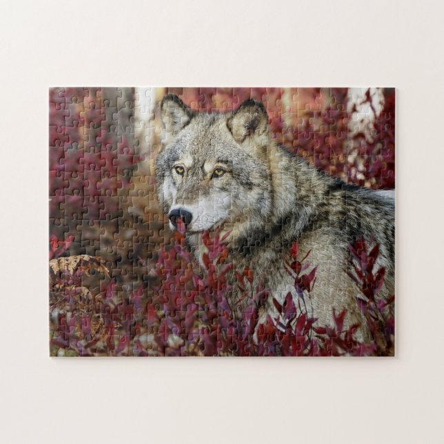Puzzle Lobo En Foliage De Otoño (Horizontal)