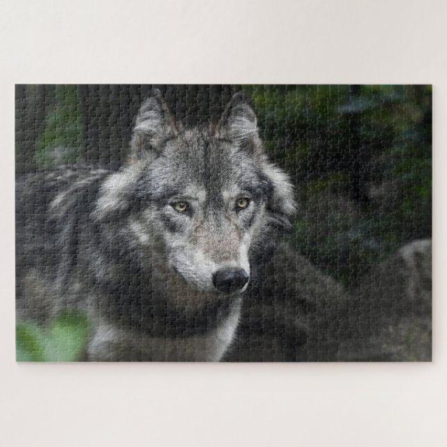 Puzzle Lobo gris en estado salvaje (Horizontal)
