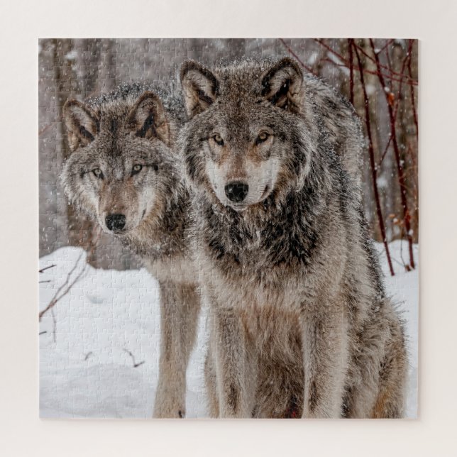 Puzzle Lobo gris oriental (Vertical)