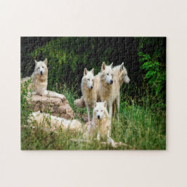 Puzzle lobo salvaje
