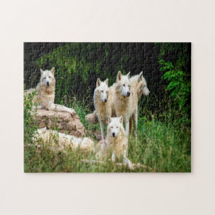 Puzzle lobo salvaje
