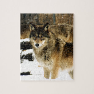 Puzzle Lobos en la nieve