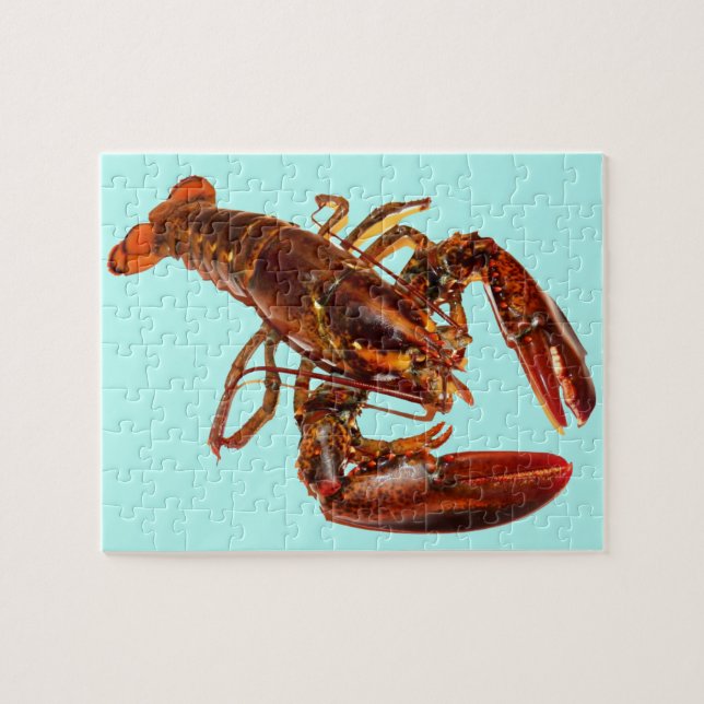 Puzzle Lobster (Horizontal)