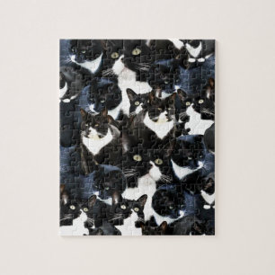 Puzzle Locura del gato en Tuxedo