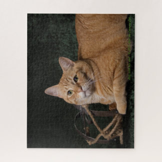 Puzzle Loki con el trineo