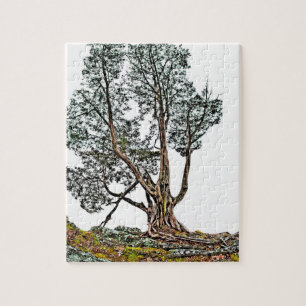 Puzzle Lonely Cypress