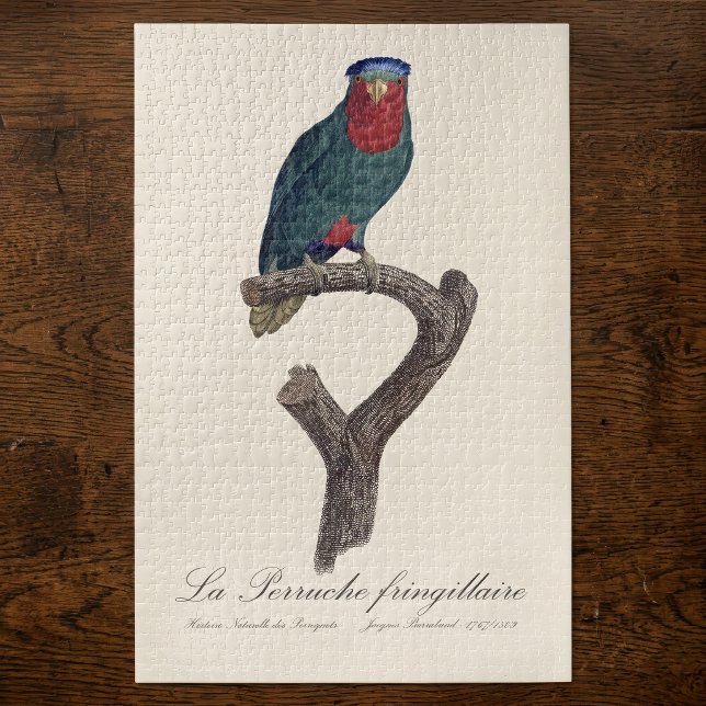 Puzzle Lori de corona azul, Vini Australis (Blue-Crowned Lorikeet, Vini Australis. Jigsaw Puzzle)