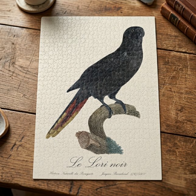 Puzzle Lori negro o Lori de plumas rojas, Chalcopsitta at (Black Lory or Red-Quilled Lory, Chalcopsitta atra. Jigsaw Puzzle)