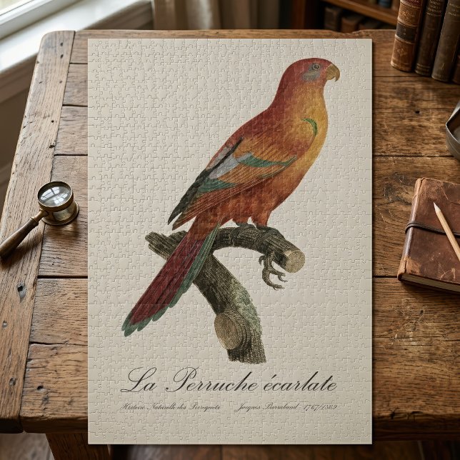 Puzzle Lori rojo o Eos Bornea, Trichoglossus borneus (Red Lory or Eos Bornea, Trichoglossus borneus. Jigsaw Puzzle)