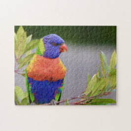 Puzzle Loricídeo Pájaro Posado Loro Animal Plumas