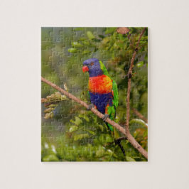 Puzzle Lorikeet arcoiris