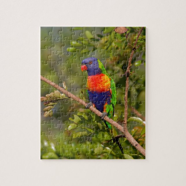 Puzzle Lorikeet arcoiris (Vertical)