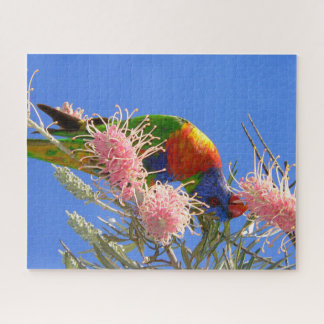 Puzzle Lorikeet Arcoíris Colorido Comiendo Néctar