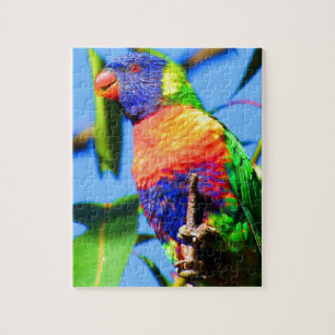Puzzle lorikeet del arco iris
