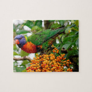 Puzzle Lorikeets Arcoíris Australia