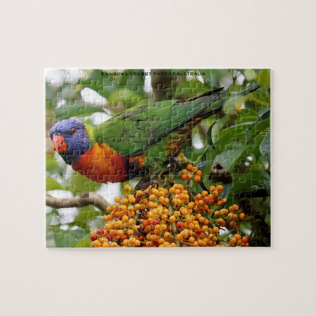 Puzzle Lorikeets Arcoíris Australia (Horizontal)