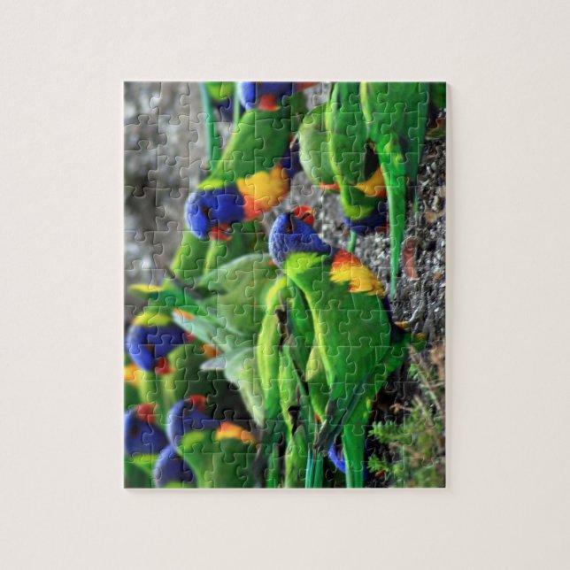Puzzle Lorikeets del arcoiris australiano (Vertical)