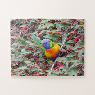 Puzzle lorikete arco iris