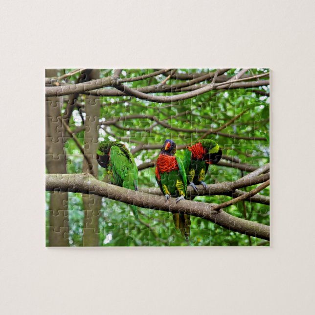 Puzzle Loriketeros del arcoiris australiano (Horizontal)