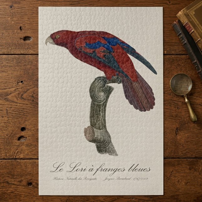 Puzzle Lorio de cola larga rojo, Trichoglossus borneus (Long-Tailed Red Lory, Trichoglossus borneus. Jigsaw Puzzle)