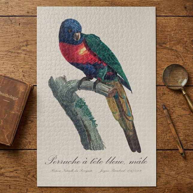Puzzle Loriquito Arcoíris Macho, Trichoglossus Moluccanus (Rainbow Lorikeet Male, Trichoglossus Moluccanus. Jigsaw Puzzle)