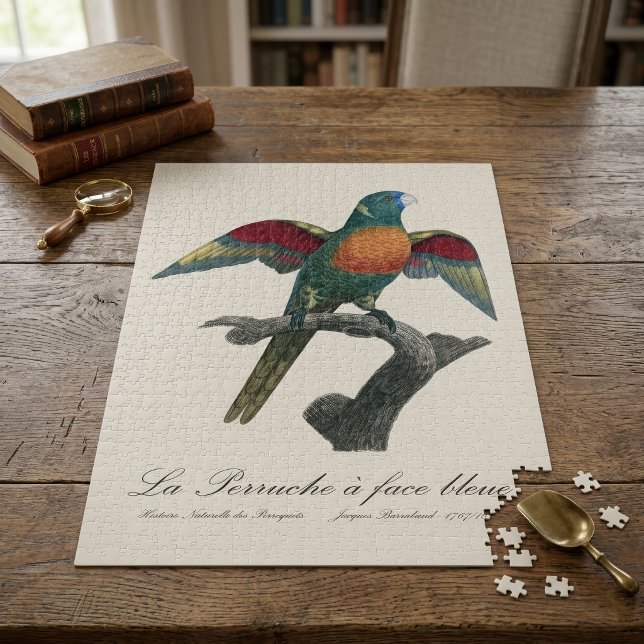 Puzzle Loriquito cocotero, Trichoglossus haematodus (Coconut Lorikeet, Trichoglossus haematodus. Jigsaw Puzzle)