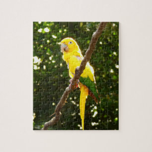 Puzzle Loro amarillo
