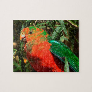 Puzzle Loro Australiano
