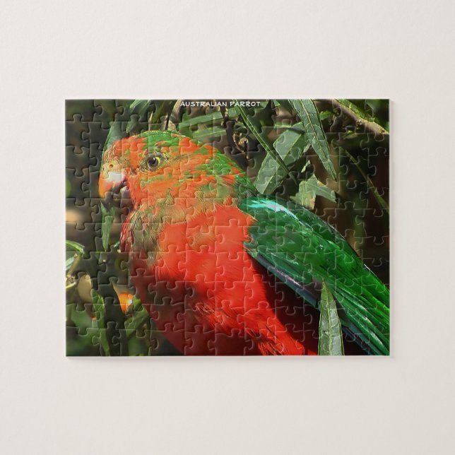 Puzzle Loro Australiano (Horizontal)