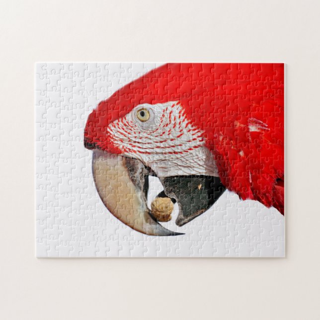 Puzzle Loro de Macao Rojo con cacahuete (Horizontal)